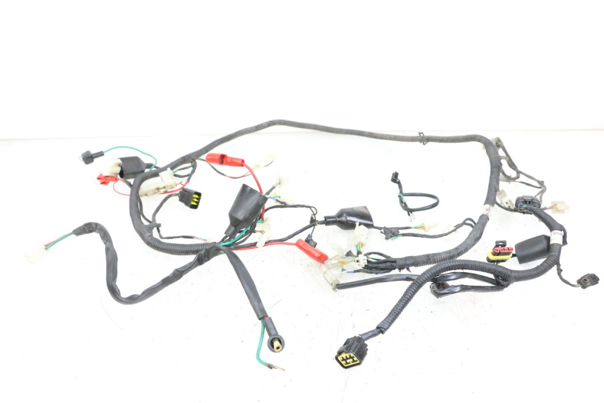 photo de WIRING HARNESS LONGJIA DIGITA 4T 50 (2019 - 2022)