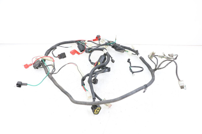 photo de WIRING HARNESS LONGJIA DIGITA 4T 50 (2019 - 2022)