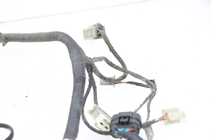 photo de WIRING HARNESS LONGJIA DIGITA 4T 50 (2019 - 2022)