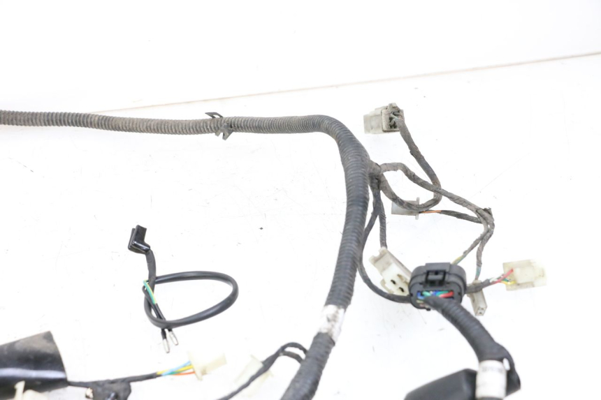 photo de WIRING HARNESS LONGJIA DIGITA 4T 50 (2019 - 2022)