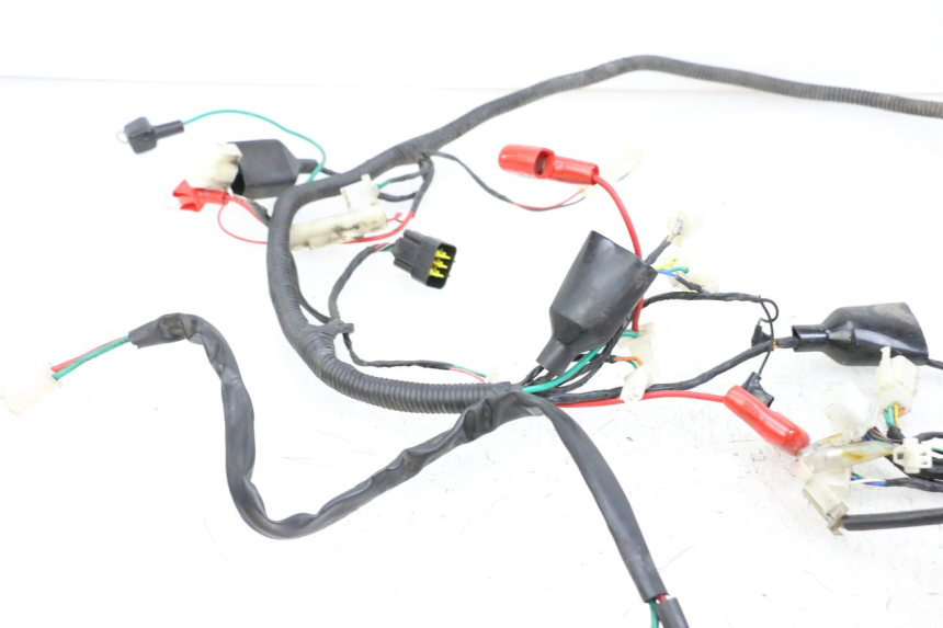 photo de WIRING HARNESS LONGJIA DIGITA 4T 50 (2019 - 2022)