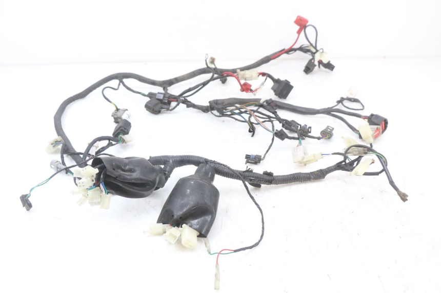 photo de WIRE HARNESS LONGJIA EASY MAX 125 (2020 - 2024)