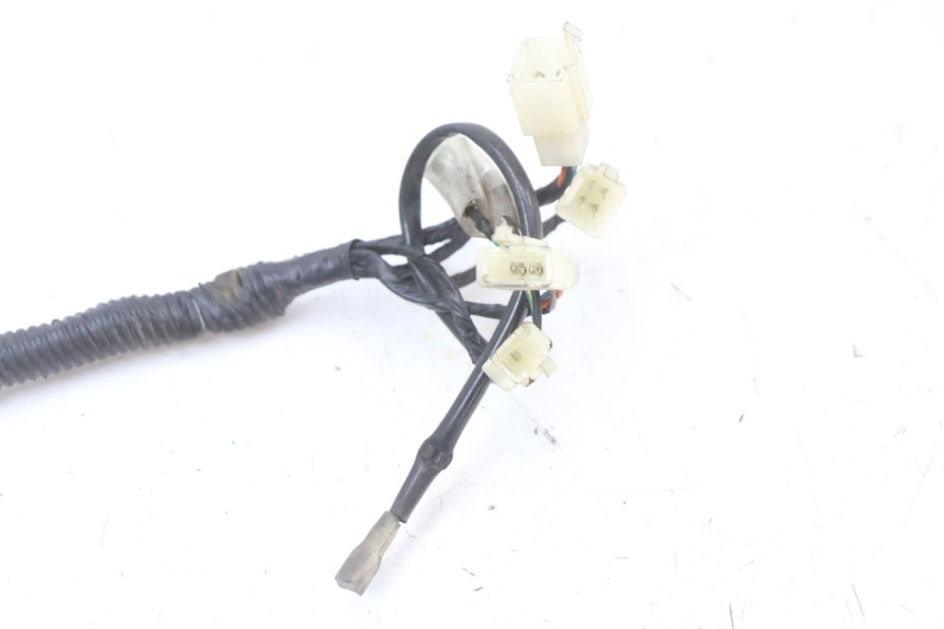 photo de WIRE HARNESS LONGJIA EASY MAX 125 (2020 - 2024)