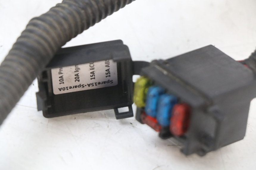 photo de WIRE HARNESS LONGJIA EASY MAX 125 (2020 - 2024)