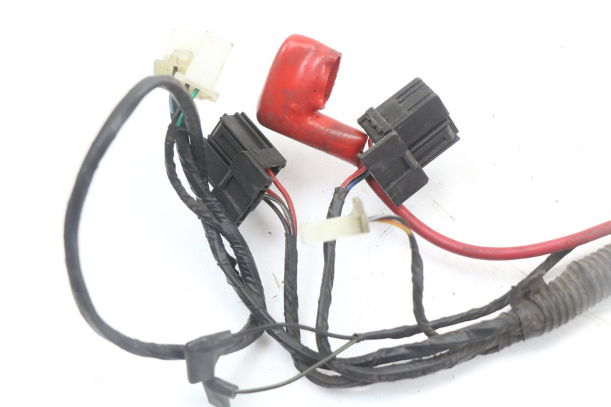 photo de WIRE HARNESS LONGJIA EASY MAX 125 (2020 - 2024)