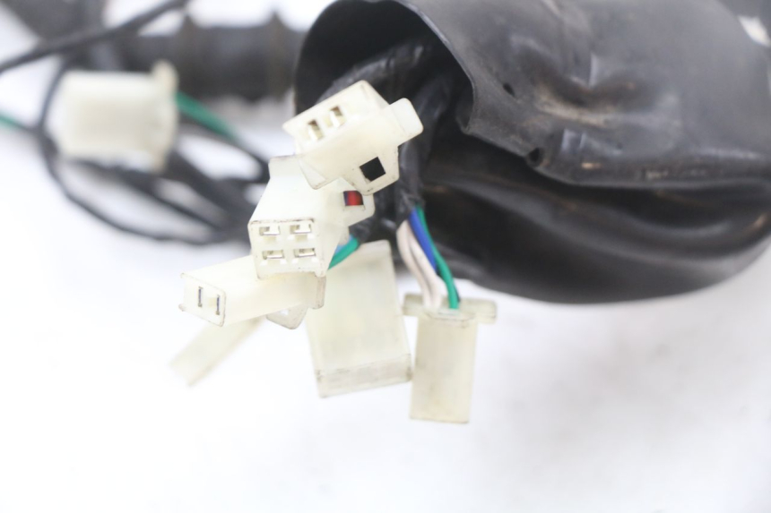 photo de WIRE HARNESS LONGJIA EASY MAX 125 (2020 - 2024)