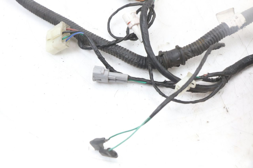 photo de WIRE HARNESS LONGJIA EASY MAX 125 (2020 - 2024)
