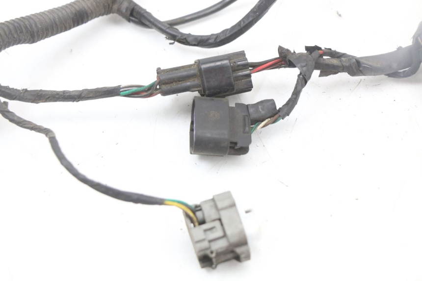 photo de WIRE HARNESS LONGJIA EASY MAX 125 (2020 - 2024)