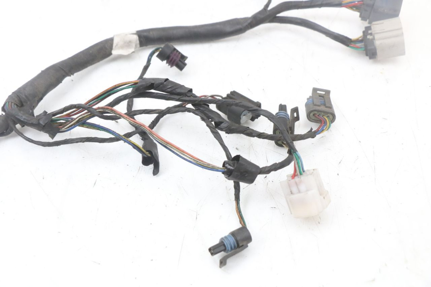 photo de WIRE HARNESS LONGJIA EASY MAX 125 (2020 - 2024)