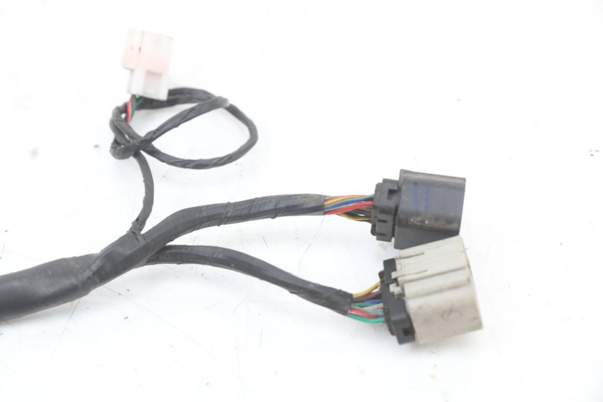 photo de WIRE HARNESS LONGJIA EASY MAX 125 (2020 - 2024)