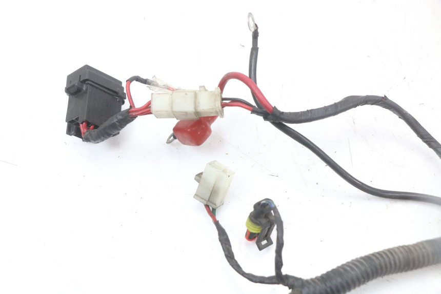 photo de WIRE HARNESS LONGJIA EASY MAX 125 (2020 - 2024)