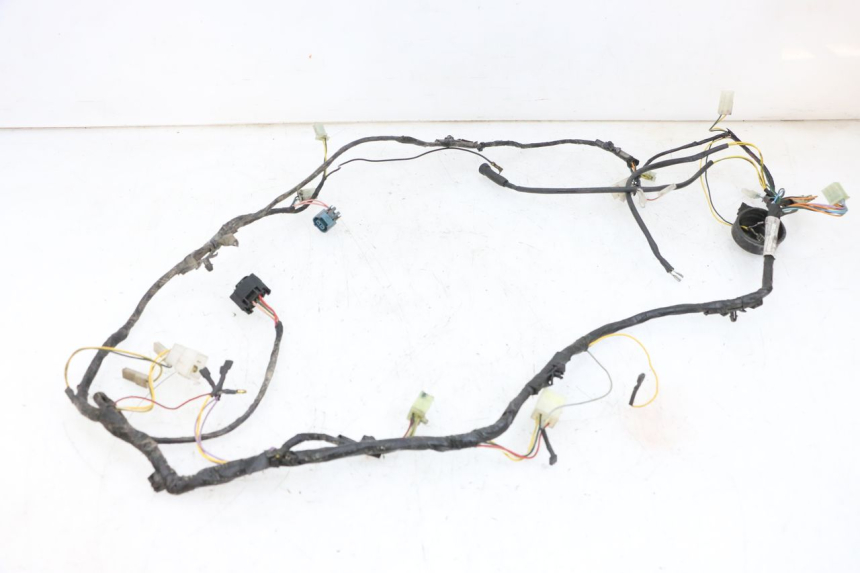 photo de WIRING HARNESS PEUGEOT LUDIX 50 (2005 - 2007) - Component detail