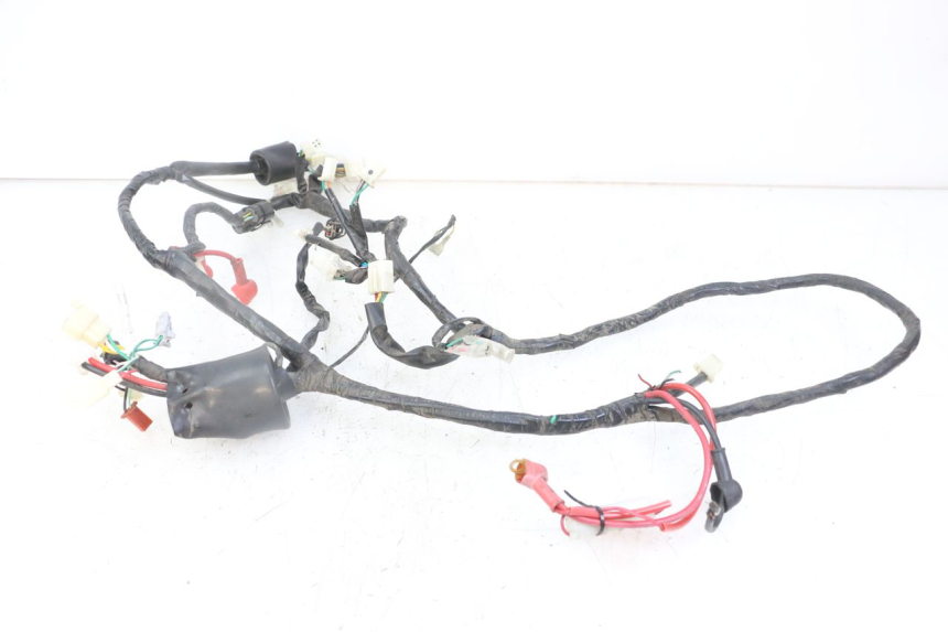 photo de WIRE HARNESS MASH CITY 4T 50 (2018 - 2020)