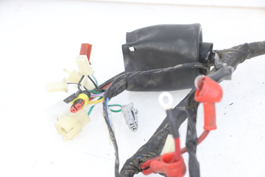 photo de WIRE HARNESS MASH CITY 4T 50 (2018 - 2020)