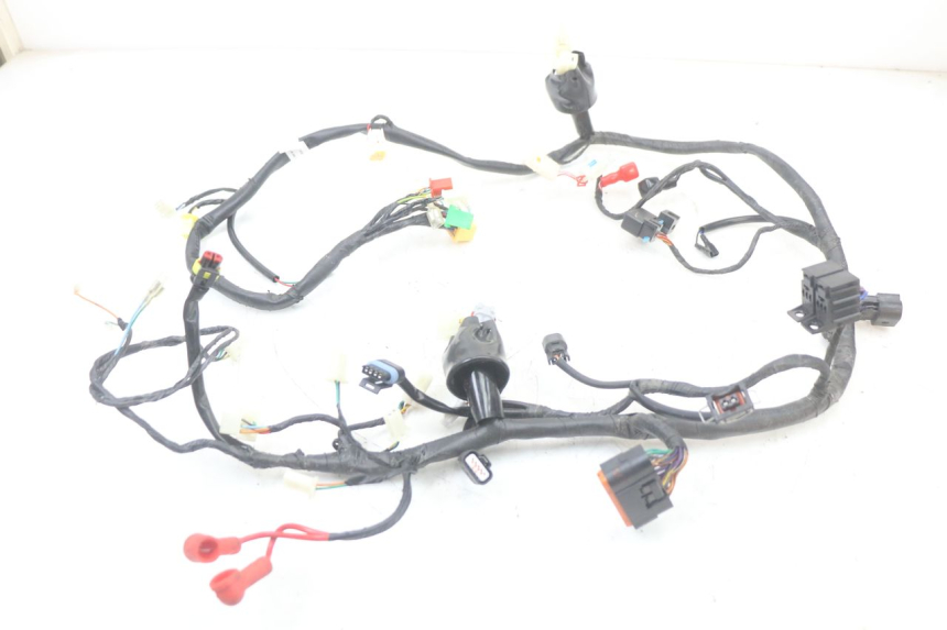 photo de WIRE HARNESS MASH LEGEND'R 4T 50 (2021 - 2025)