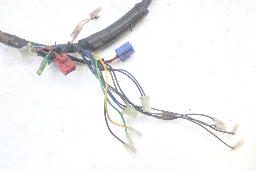 photo de WIRE HARNESS MBK MACH G AC 50 (2002 - 2014)