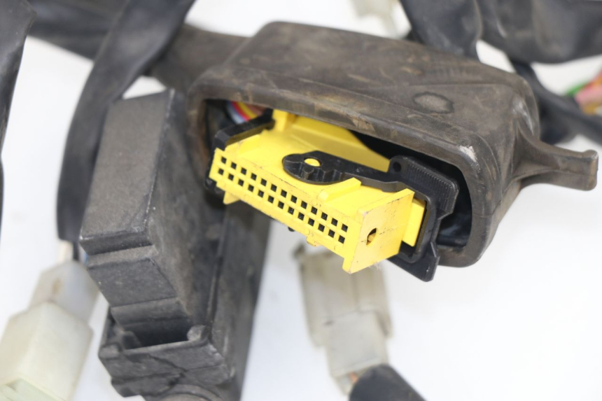 photo de WIRE HARNESS MBK SKYCRUISER 125 (2006 - 2009)