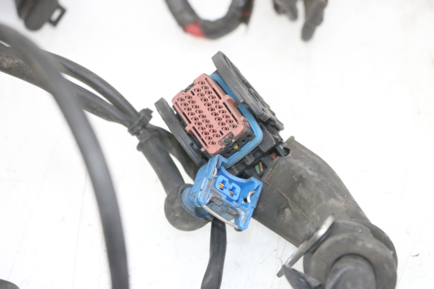 photo de WIRE HARNESS PIAGGIO MP3 LT 300 (2010 - 2016)