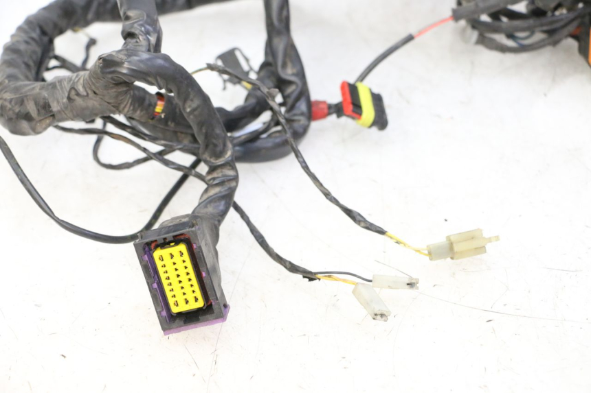 photo de WIRING HARNESS PIAGGIO MP3 LT 300 (2010 - 2016) - Component detail
