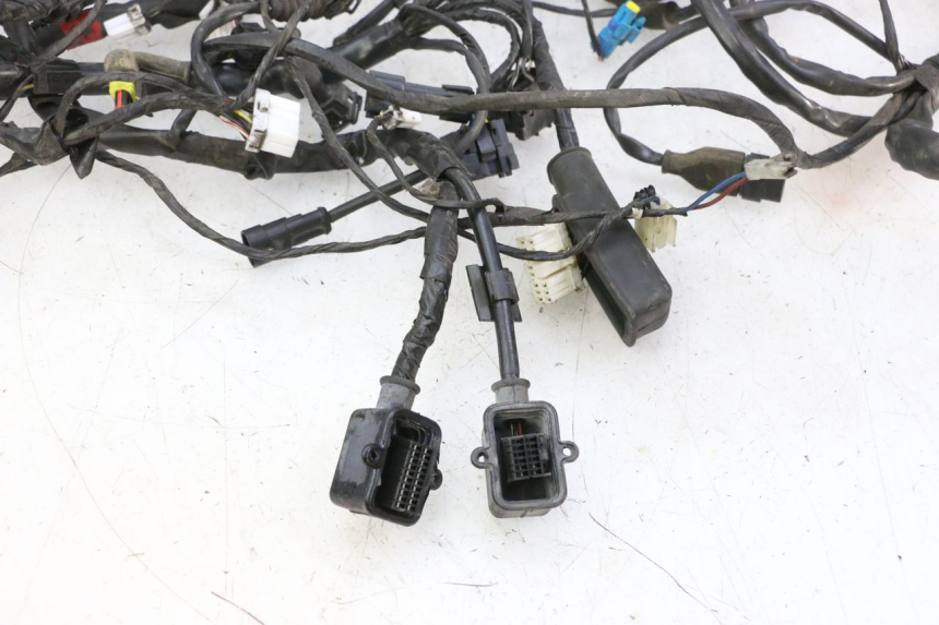 photo de WIRE HARNESS PIAGGIO MP3 125 (2006 - 2014)
