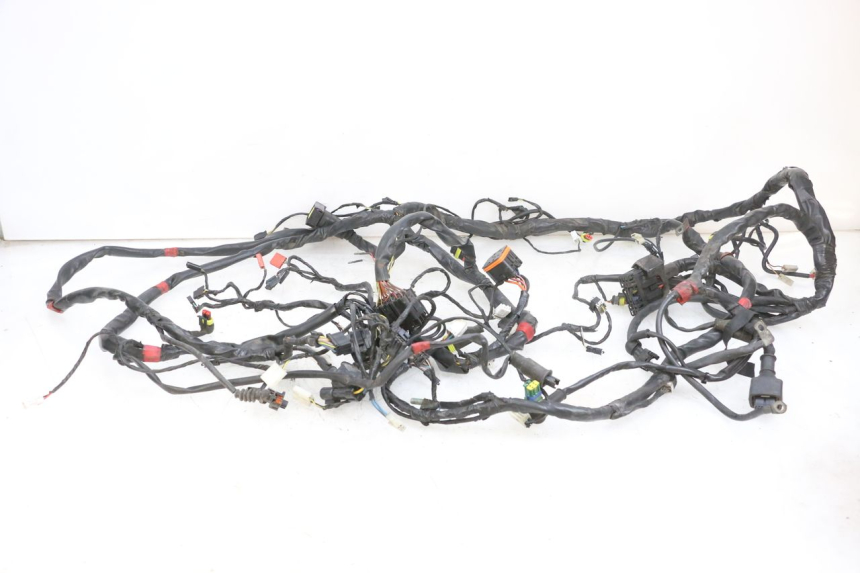 photo de WIRE HARNESS PIAGGIO MP3 RL 250 (2007 - 2010) - Main view
