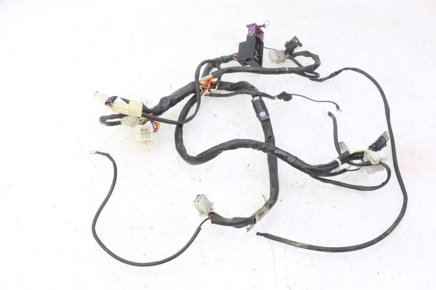 photo de WIRE HARNESS RIEJU MRT 50 (2018 - 2021)