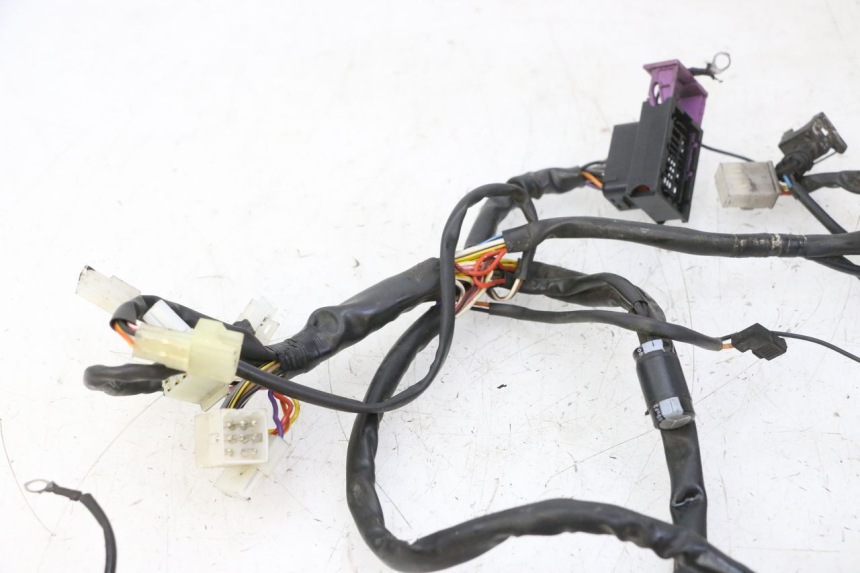 photo de WIRE HARNESS RIEJU MRT 50 (2018 - 2021)