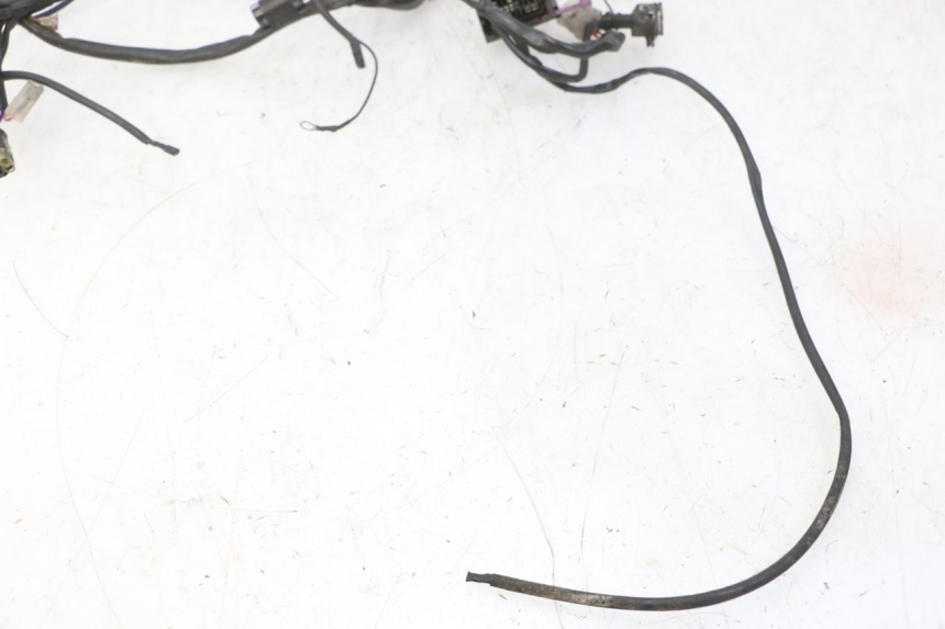 photo de WIRE HARNESS RIEJU MRT 50 (2018 - 2021)
