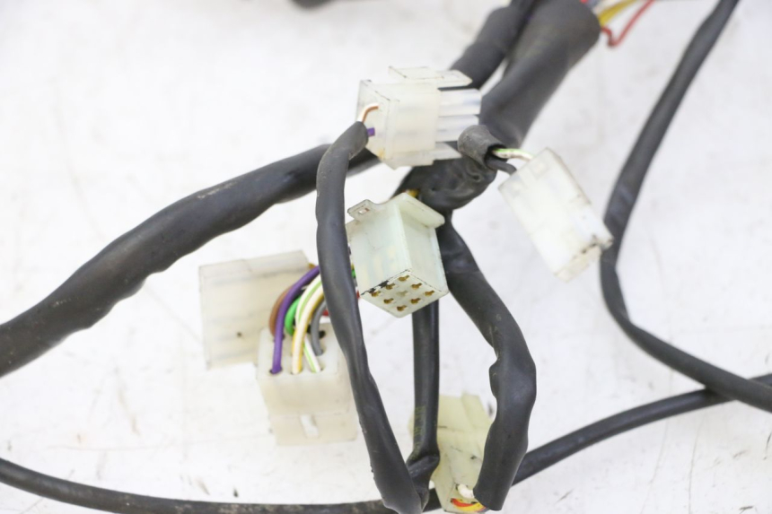 photo de WIRE HARNESS RIEJU MRT 50 (2018 - 2021)