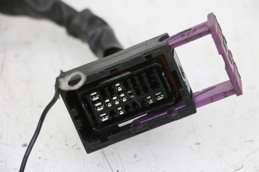 photo de WIRE HARNESS RIEJU MRT 50 (2018 - 2021)