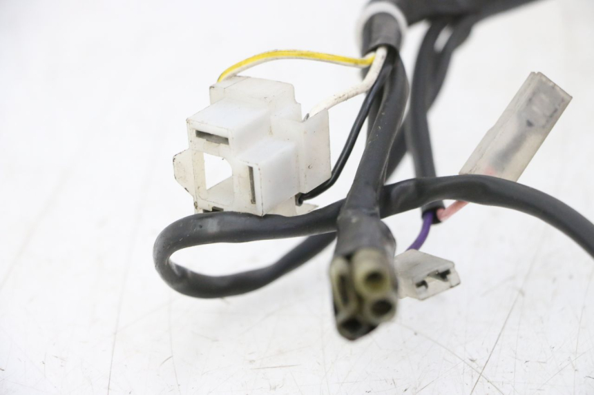 photo de WIRE HARNESS RIEJU MRT 50 (2018 - 2021)