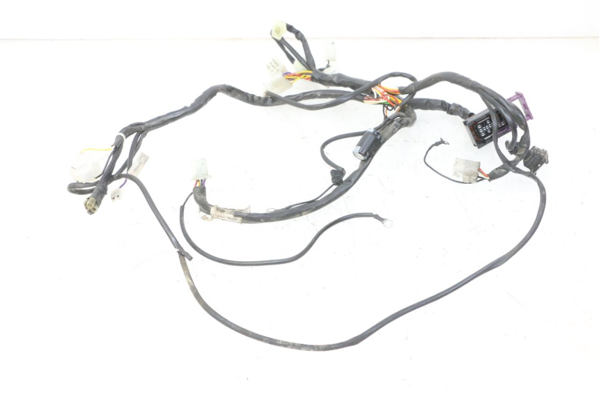 photo de WIRE HARNESS RIEJU MRT 50 (2018 - 2021)