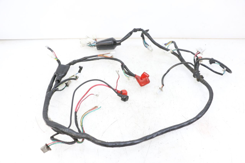 photo de WIRE HARNESS NECO GPX LC 2T 50 (2014 - 2018)