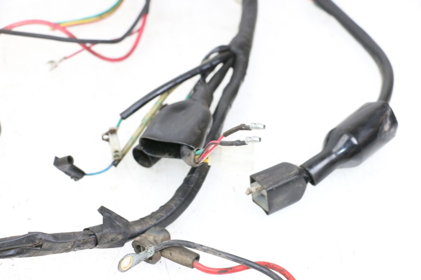 photo de WIRE HARNESS NECO GPX LC 2T 50 (2014 - 2018)