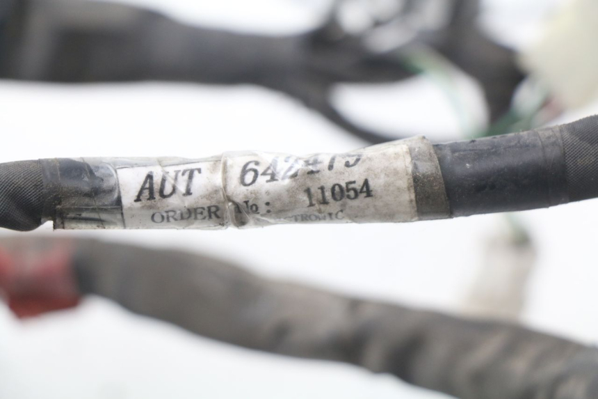 photo de WIRE HARNESS PIAGGIO NEW TYPHOON 50 (2010 - 2017)