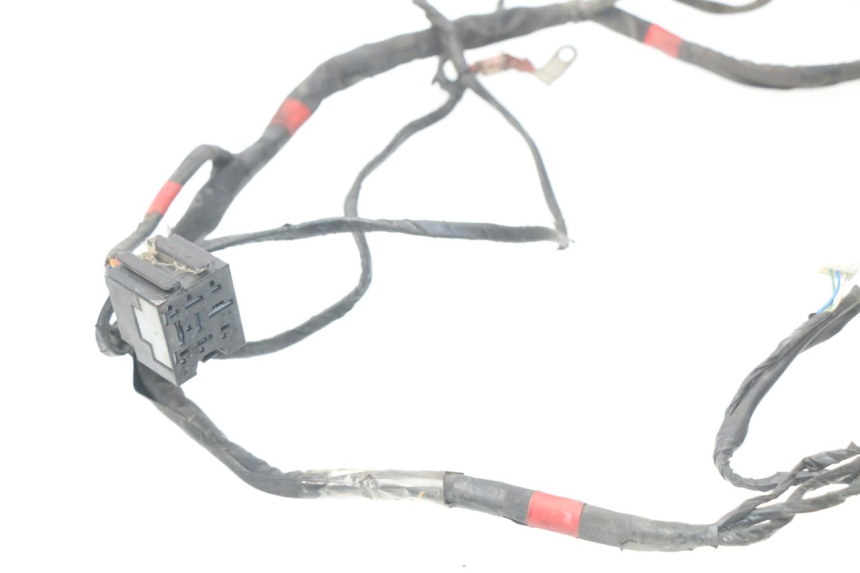 photo de WIRE HARNESS PIAGGIO NEW TYPHOON 50 (2010 - 2017)
