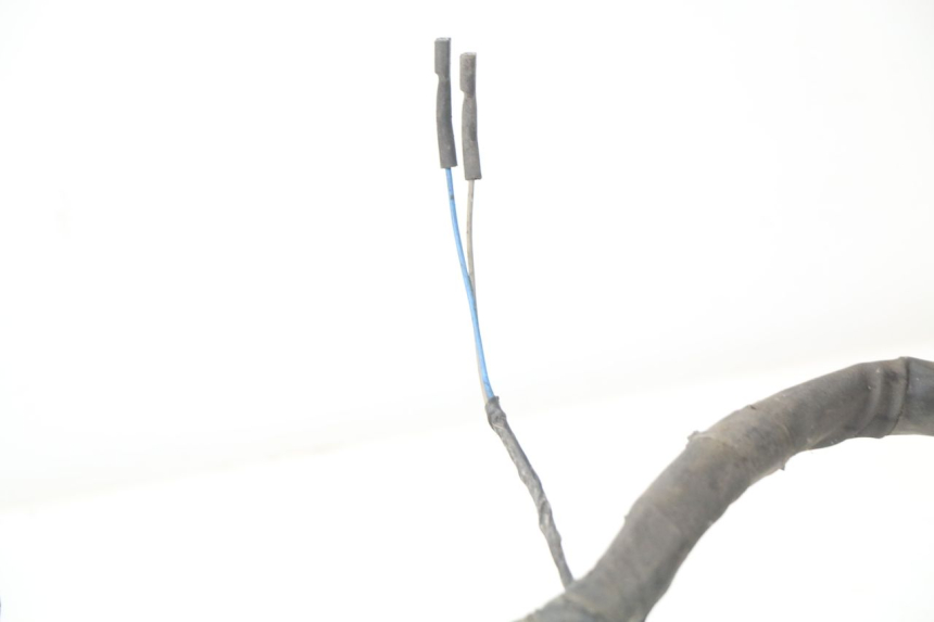 photo de WIRE HARNESS PIAGGIO NEW TYPHOON 50 (2010 - 2017)