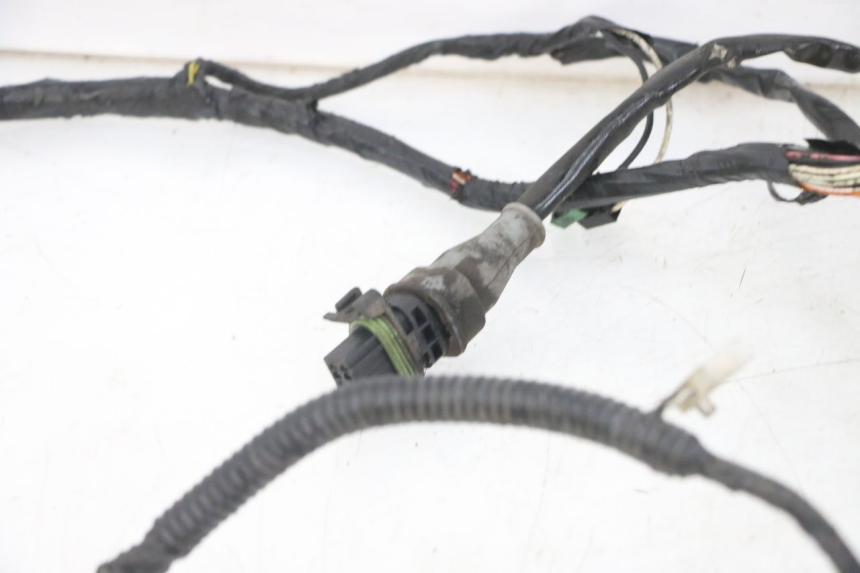 photo de WIRING HARNESS PIAGGIO NEW TYPHOON 50 (2018 - 2021)