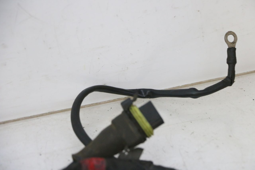 photo de WIRE HARNESS PIAGGIO NEW TYPHOON 50 (2010 - 2017)