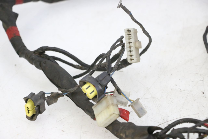 photo de WIRE HARNESS PIAGGIO NEW TYPHOON 50 (2010 - 2017)