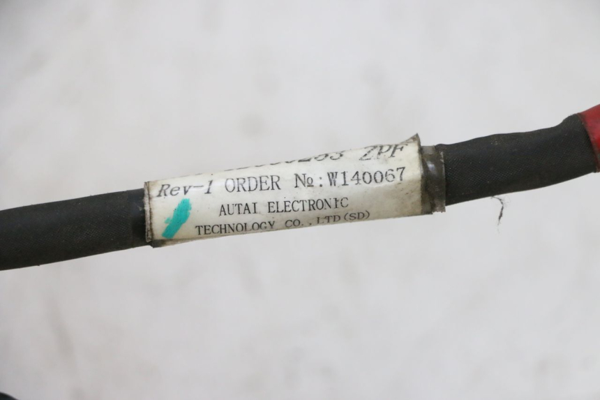 photo de WIRE HARNESS PIAGGIO NEW TYPHOON 50 (2010 - 2017)