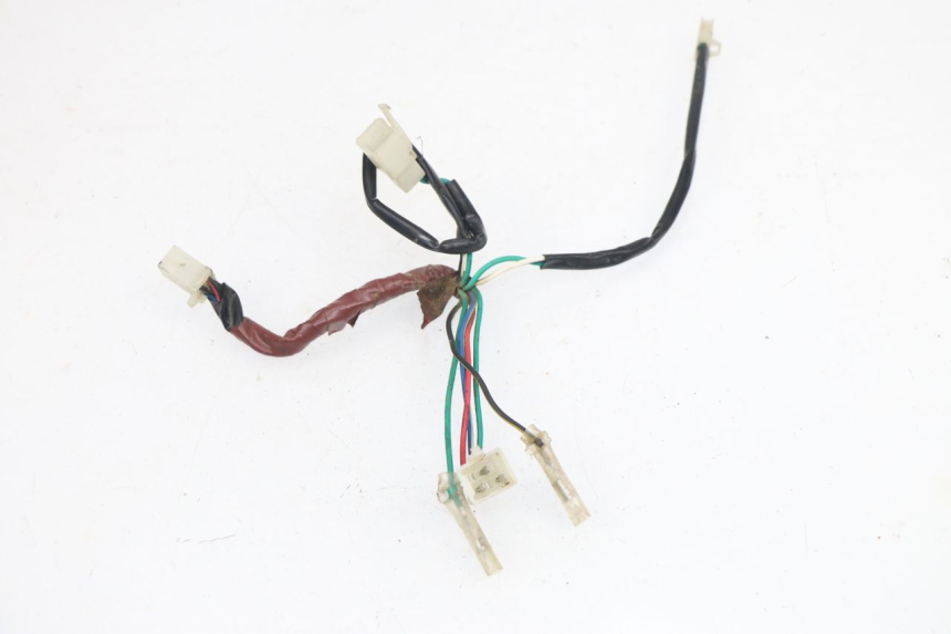 photo de WIRE HARNESS NITRO MOTORS THUNDER 125