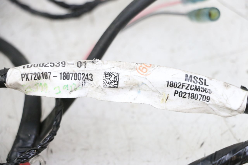 photo de WIRE HARNESS PIAGGIO NRG POWER PUREJET 50 (2018 - 2021)