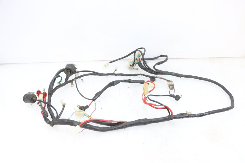 photo de WIRING HARNESS JM MOTORS OLDIES 4T 50 (2010 - 2020) - Product overview