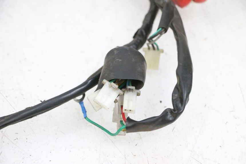 photo de WIRING HARNESS JM MOTORS OLDIES 4T 50 (2010 - 2020) - Checked used part