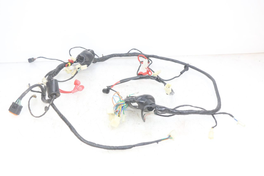 photo de WIRING HARNESS JM MOTORS OLDIES RS 4T 50 (2021 - 2024)