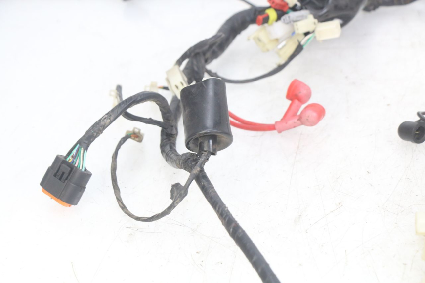 photo de WIRING HARNESS JM MOTORS OLDIES RS 4T 50 (2021 - 2024)