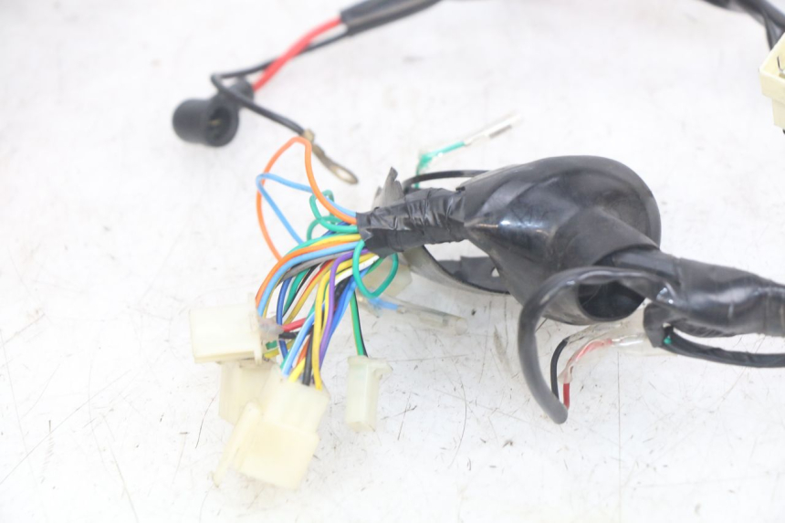 photo de WIRING HARNESS JM MOTORS OLDIES RS 4T 50 (2021 - 2024)