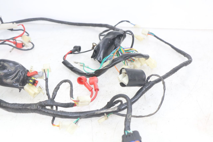 photo de WIRING HARNESS JM MOTORS OLDIES RS 4T 50 (2021 - 2024)