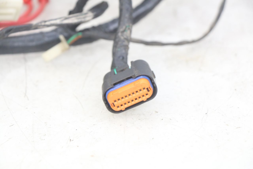 photo de WIRING HARNESS JM MOTORS OLDIES RS 4T 50 (2021 - 2024)